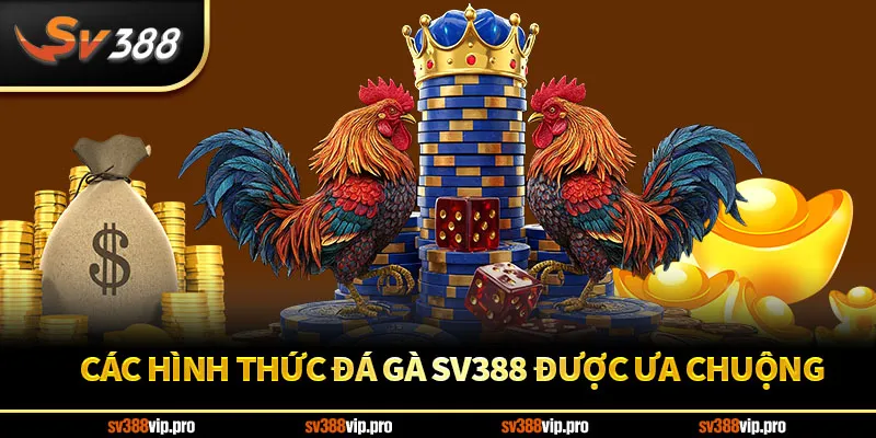 Các hình thức đá gà SV388 được ưa chuộng