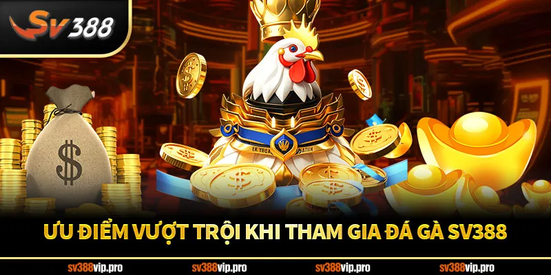 Ưu điểm vượt trội khi tham gia đá gà SV388