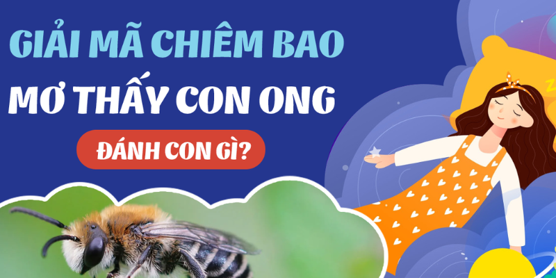 Giải mã: Bị ong đốt đánh đề con gì để may mắn, phát tài