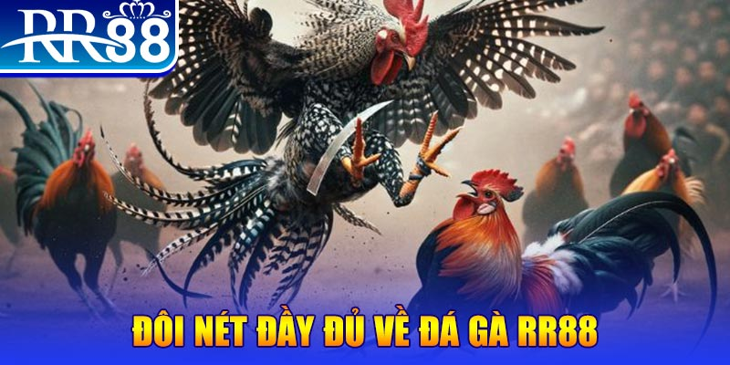 Đá Gà RR88 – Sân Chơi Cá Cược Đẳng Cấp Cho Người Hâm Mộ 2025